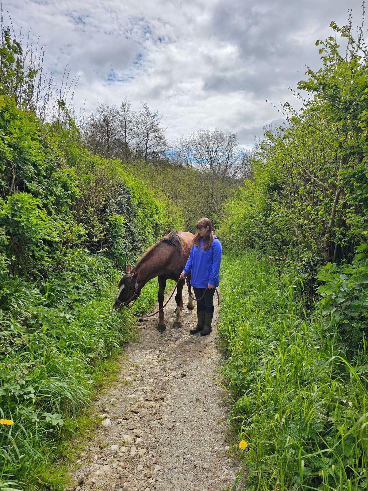 Mindfulness Foraging Walk with Horse's in Nature 
