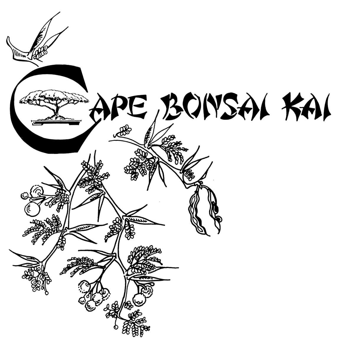 Cape Bonsai Kai workshop