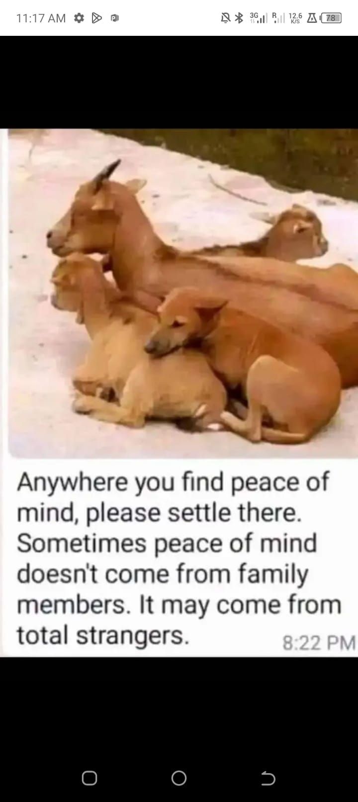 Peace of mind is everything