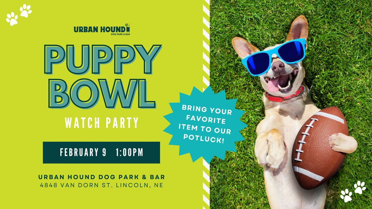 Puppy Bowl Watch Party at Urban Hound Dog Park & Bar