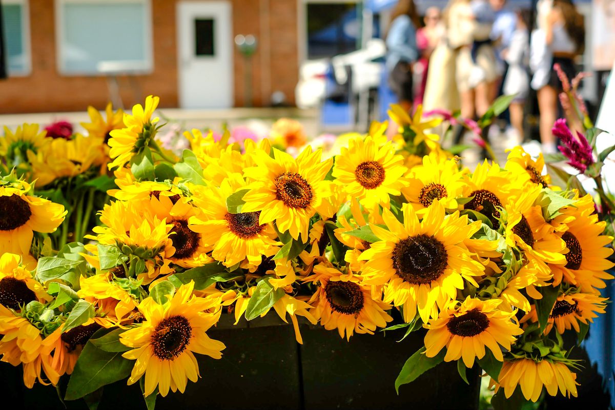 Birmingham Farmers Market