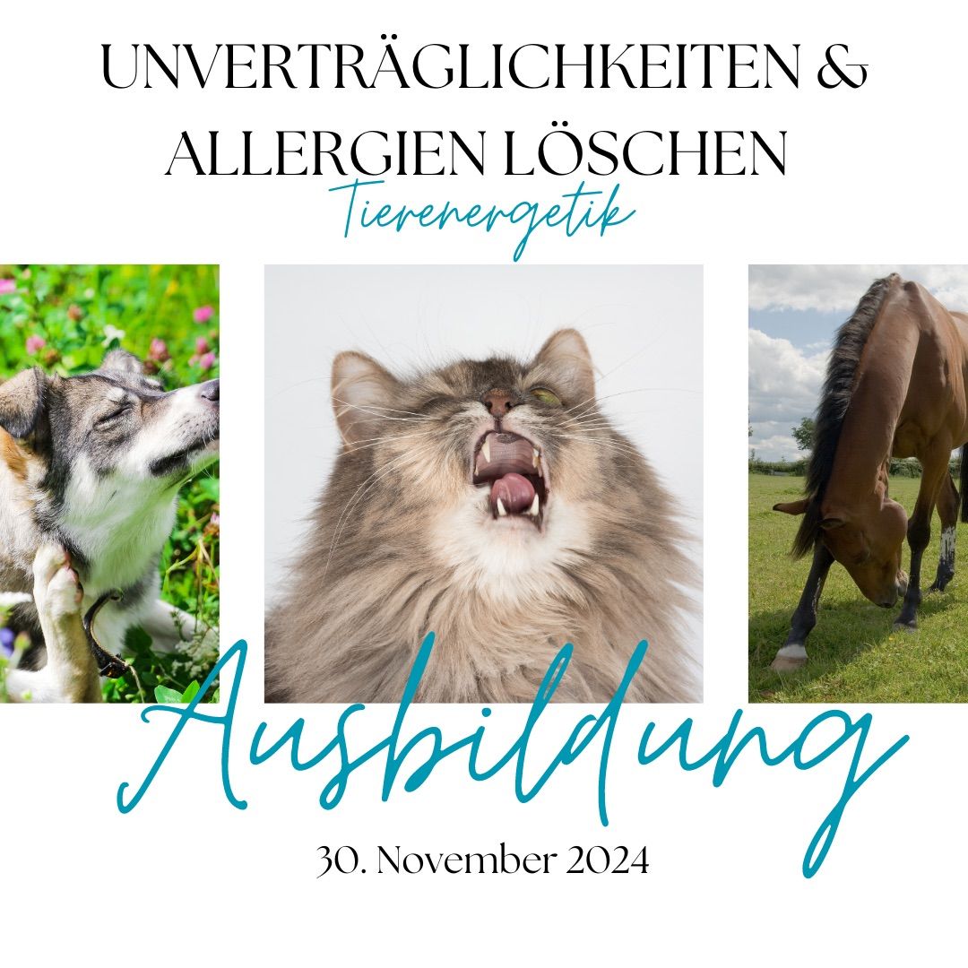 Tierenergetische Ausbildung - Unvertr\u00e4glichkeiten und Allergien energetisch l\u00f6schen