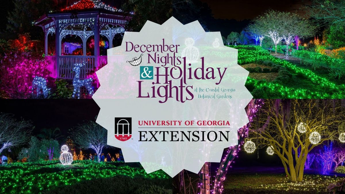 December Nights & Holiday Lights 2024!!