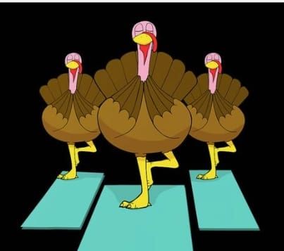 Thanksgiving Day Yoga - Donation Based