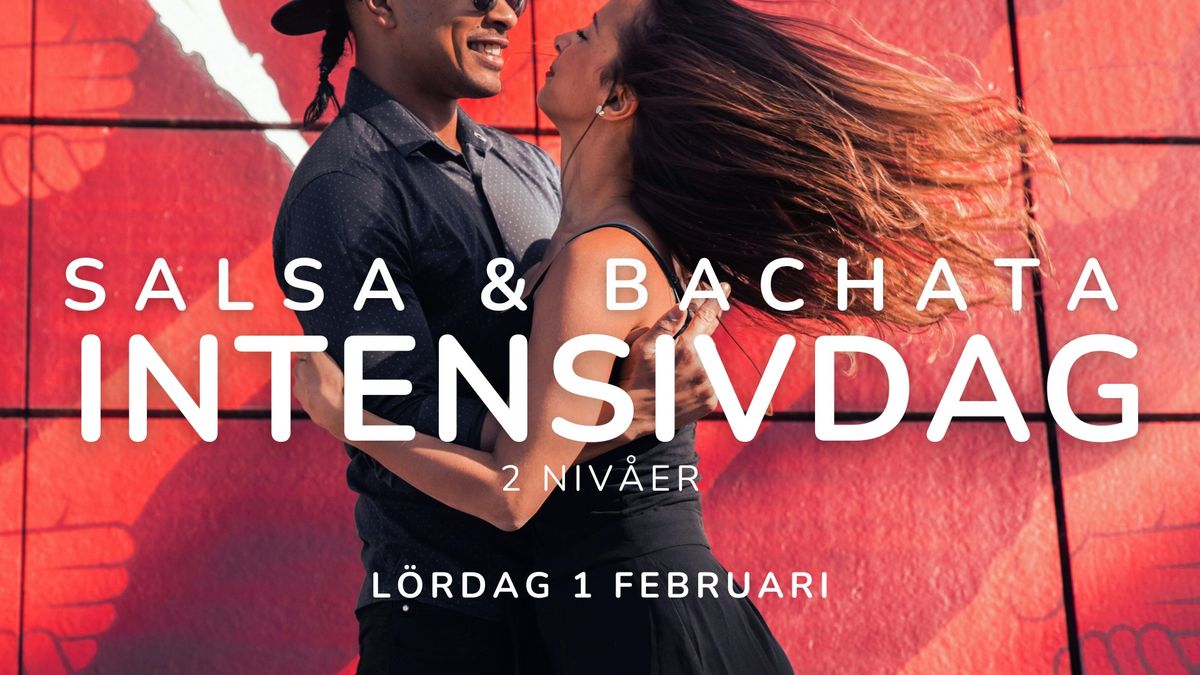 Salsa & Bachata Intensivdag - 2 niv\u00e5er!