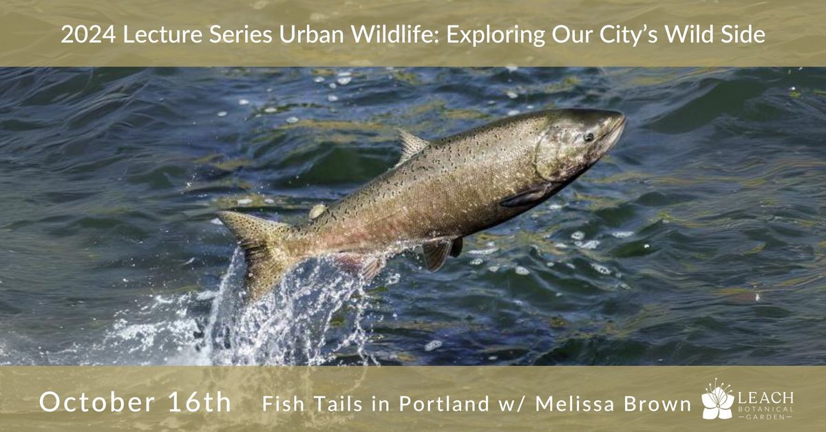 2024 Lecture Series Urban Wildlife: Exploring Our City's Wild Side