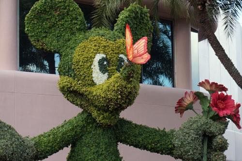 NT Garden Show