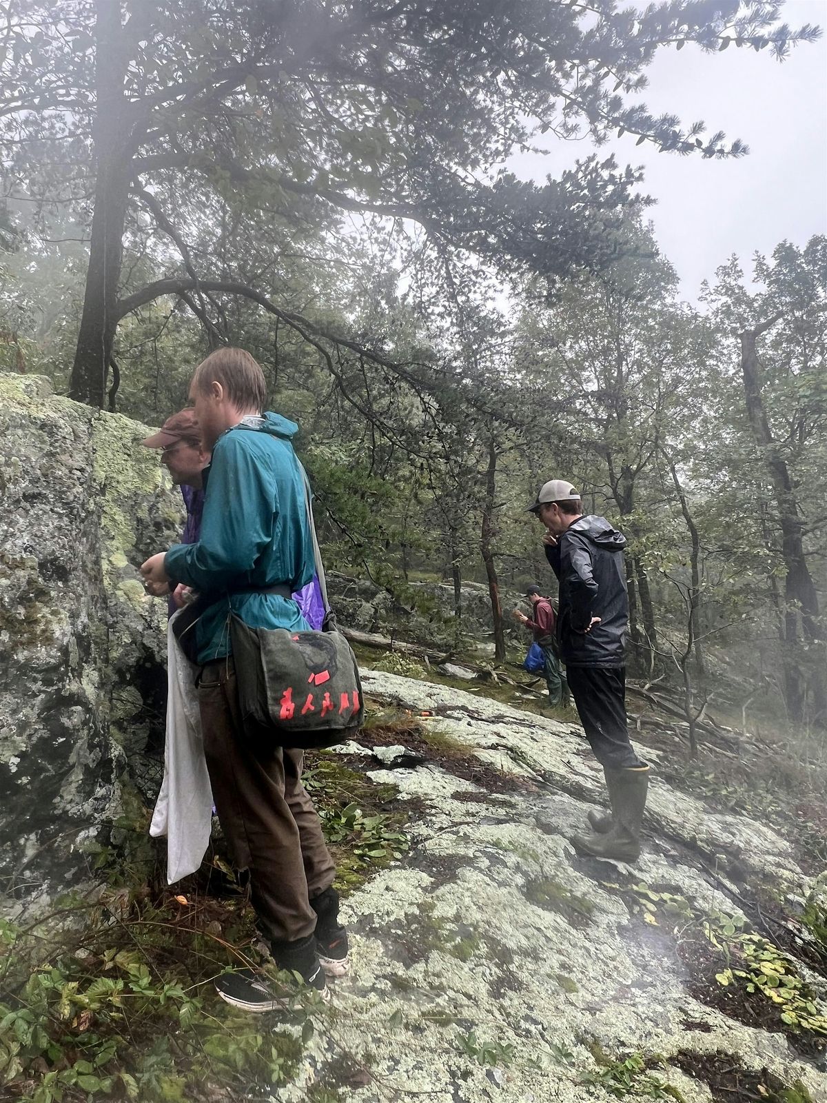 Lichen Walk on Wildcat Mountain