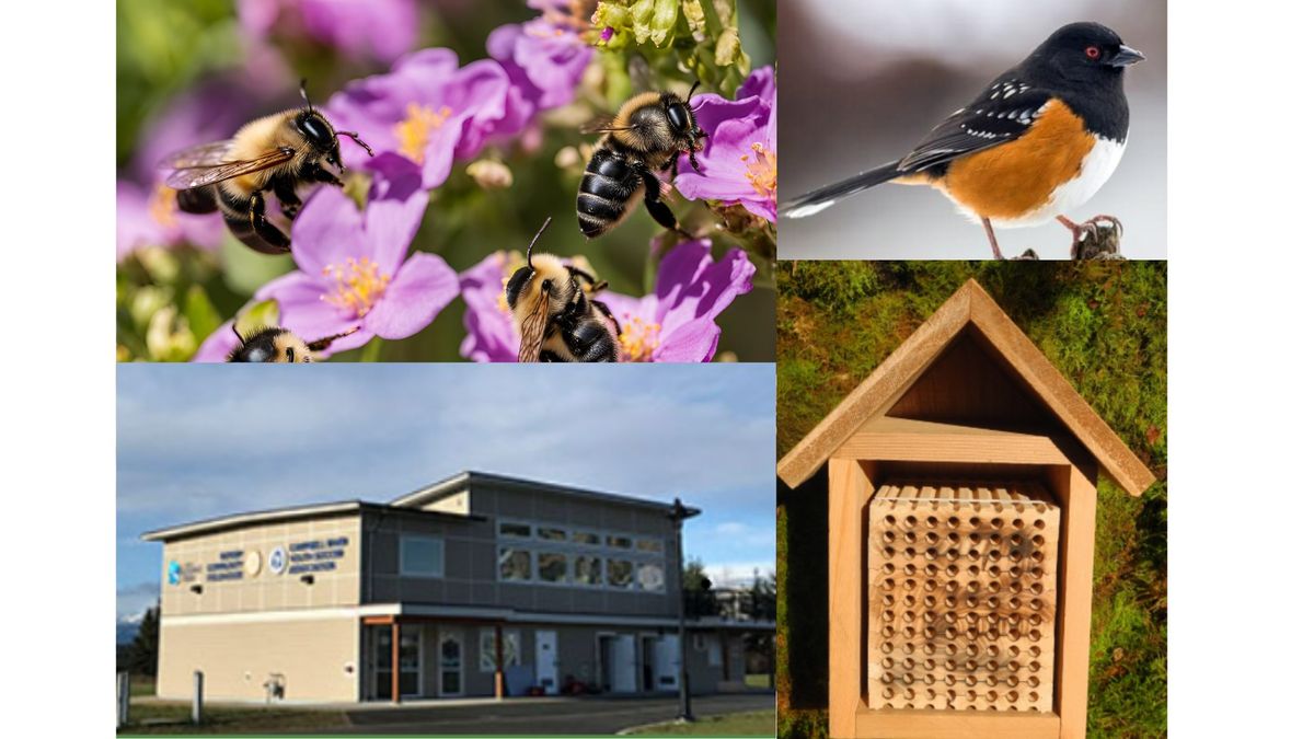 Literacy Week Launch Party & Mason Bee House Make and Take