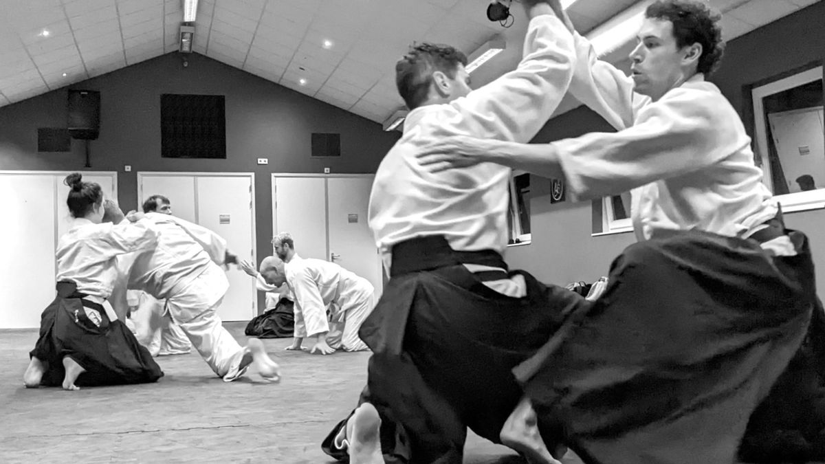 Aikido intensive