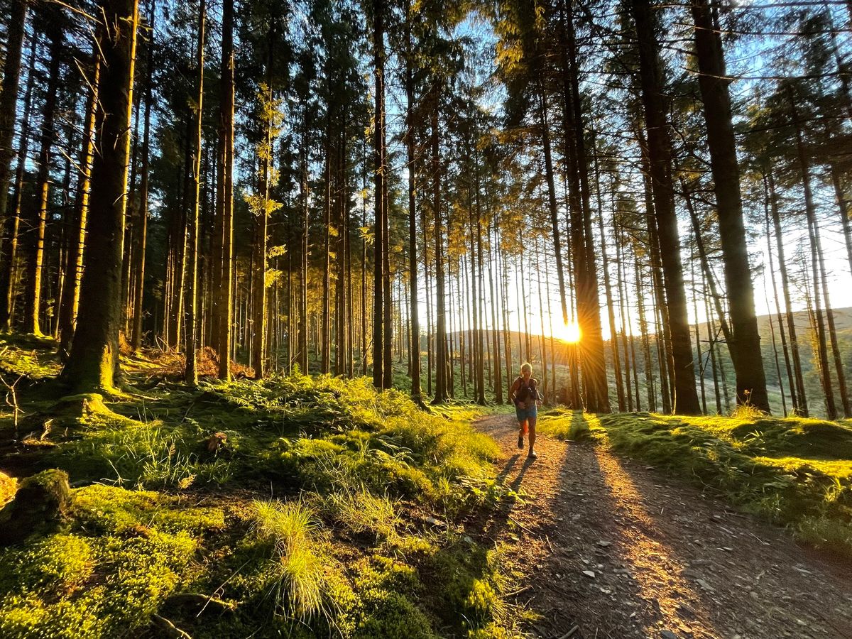 Nant Yr Arian Silver Trail 10K