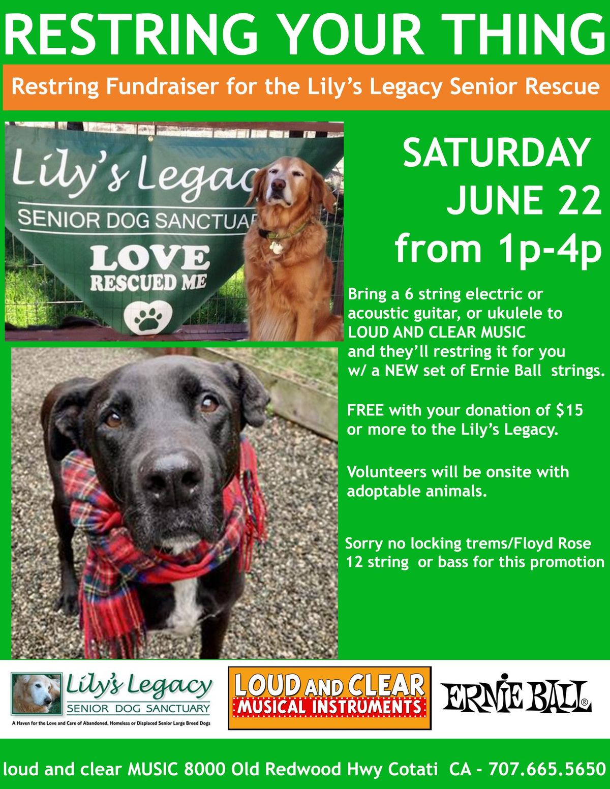 Restring Fundraiser for Lilies Legacy Senior Dog rescue