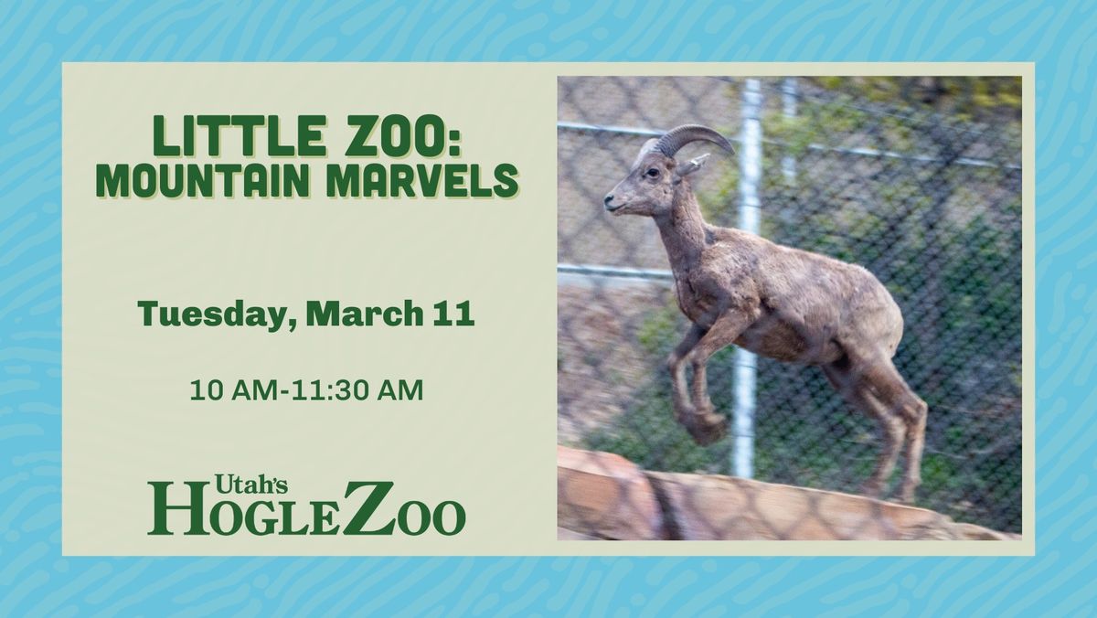 Little Zoo: Mountain Marvels