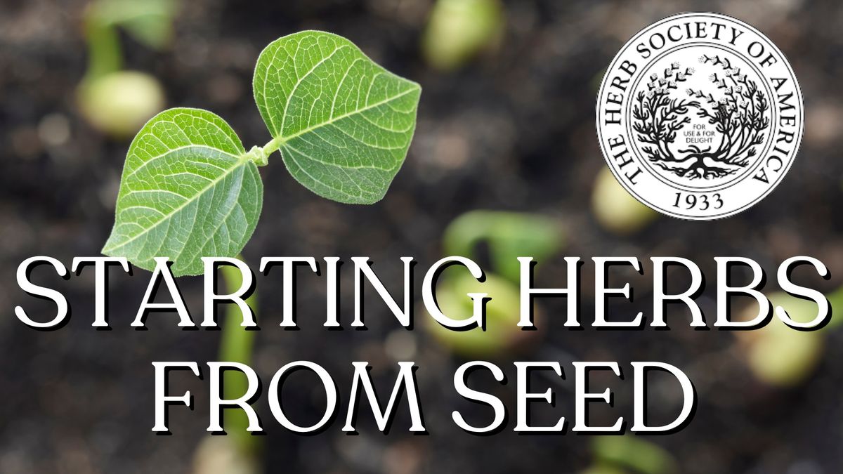 Herb Society of Central Indiana: Starting Herbs from Seed