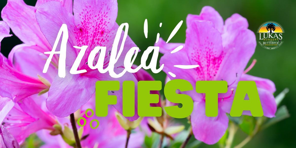 Azalea Fiesta at Lukas Nursery!