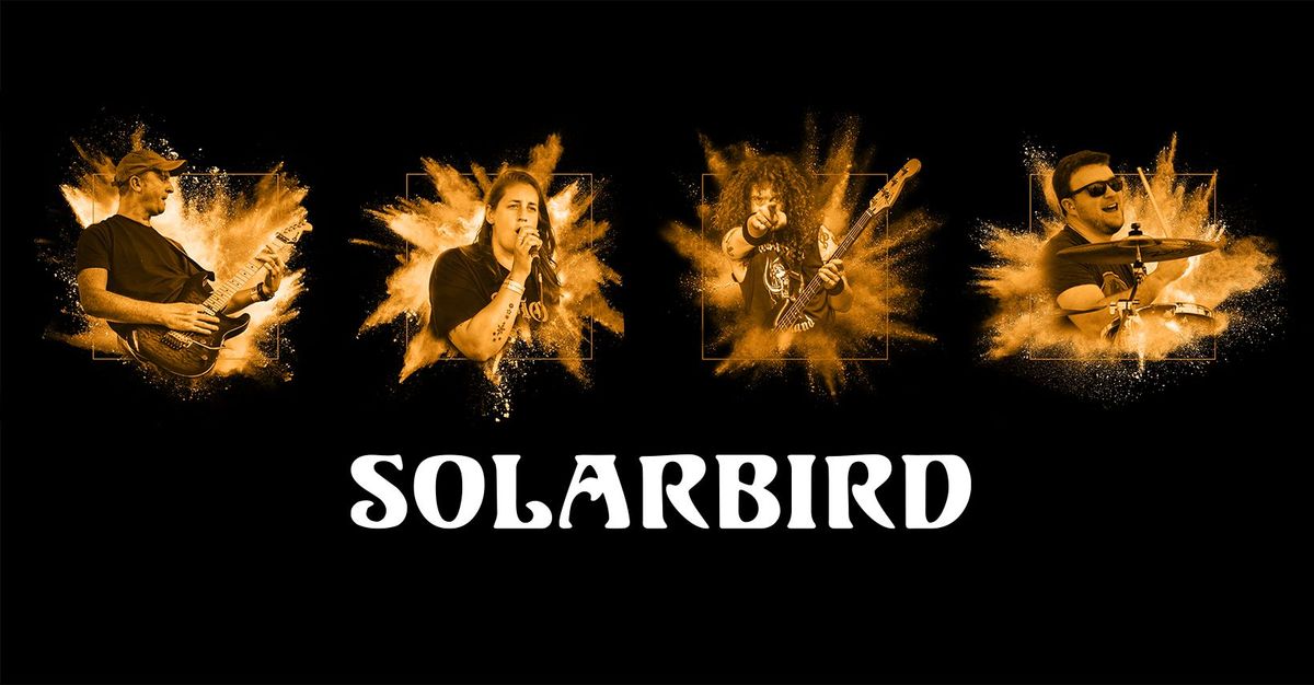 Solarbird at The Angel, Andover