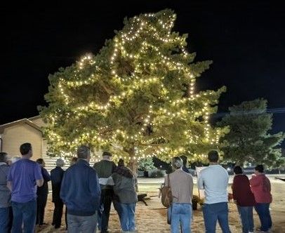 Celebrate Life Tree Lighting Ceremony