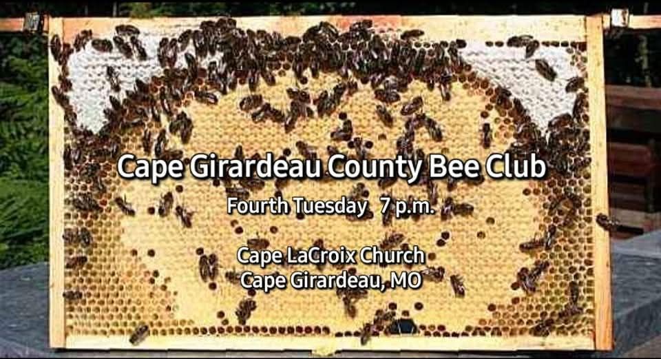 Monthly Bee Meeting