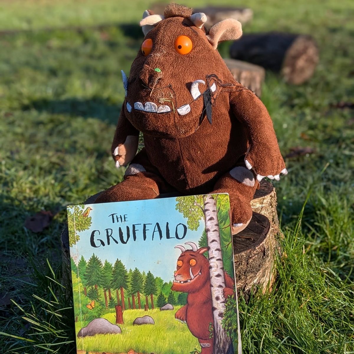 Forest School Fun - Gruffalo Theme