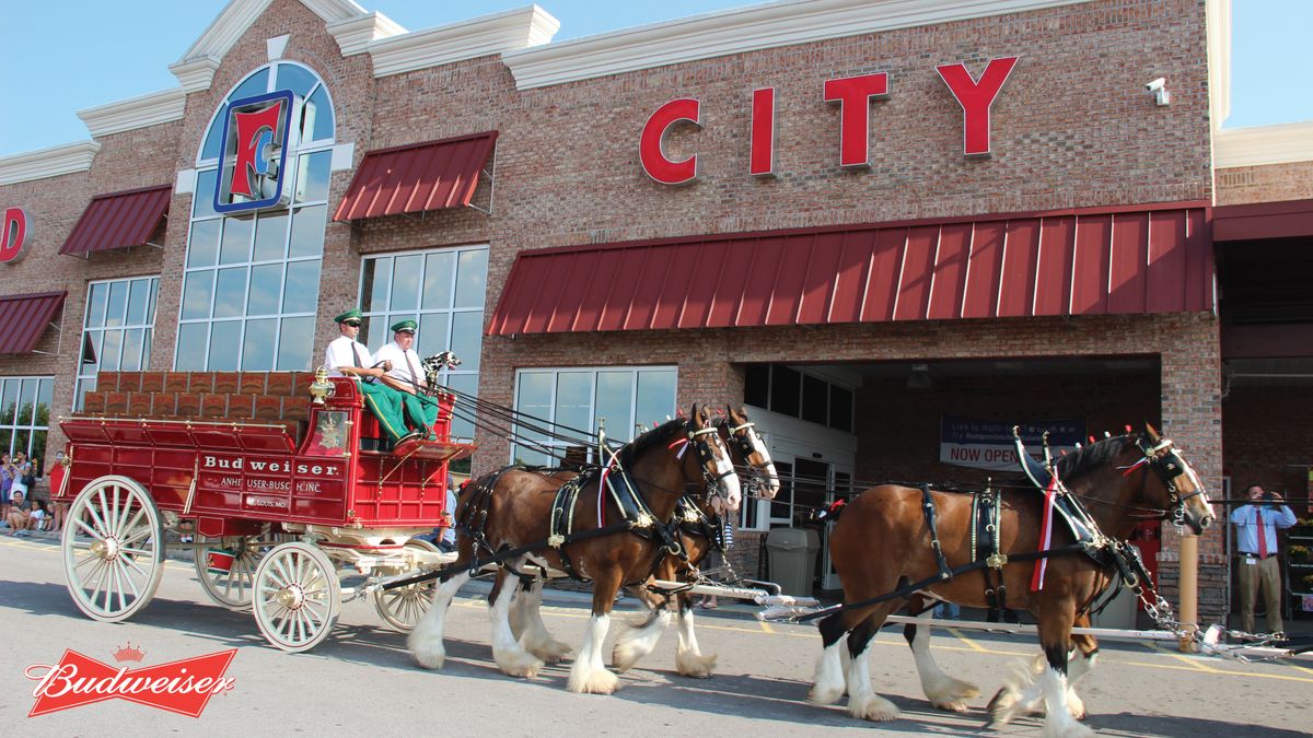 Budweiser Clydedales Appearance \u2013 Knoxville, TN