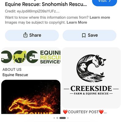 Gold Creek Equine Rescue