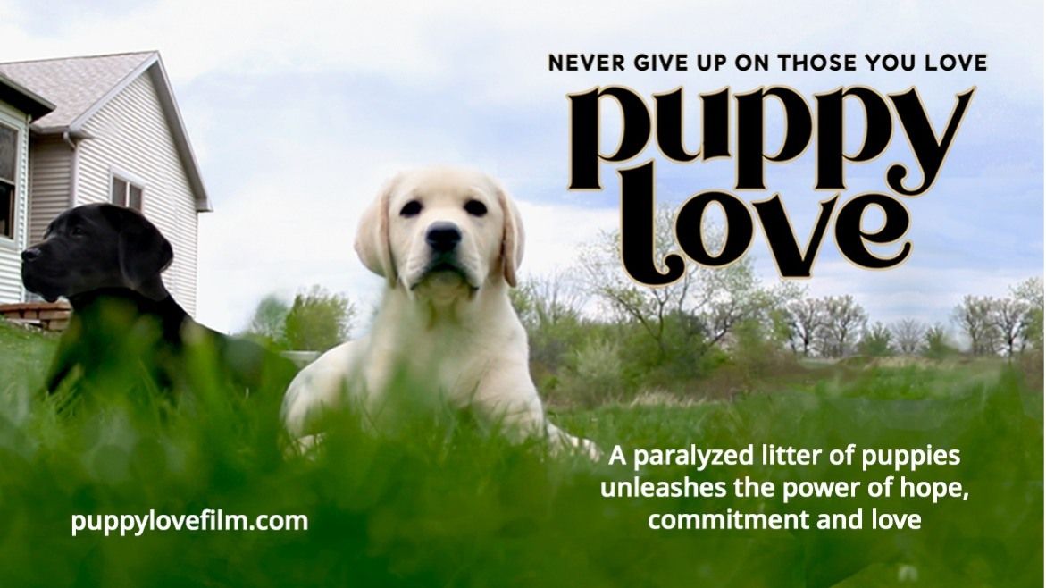 Puppy Love Movie