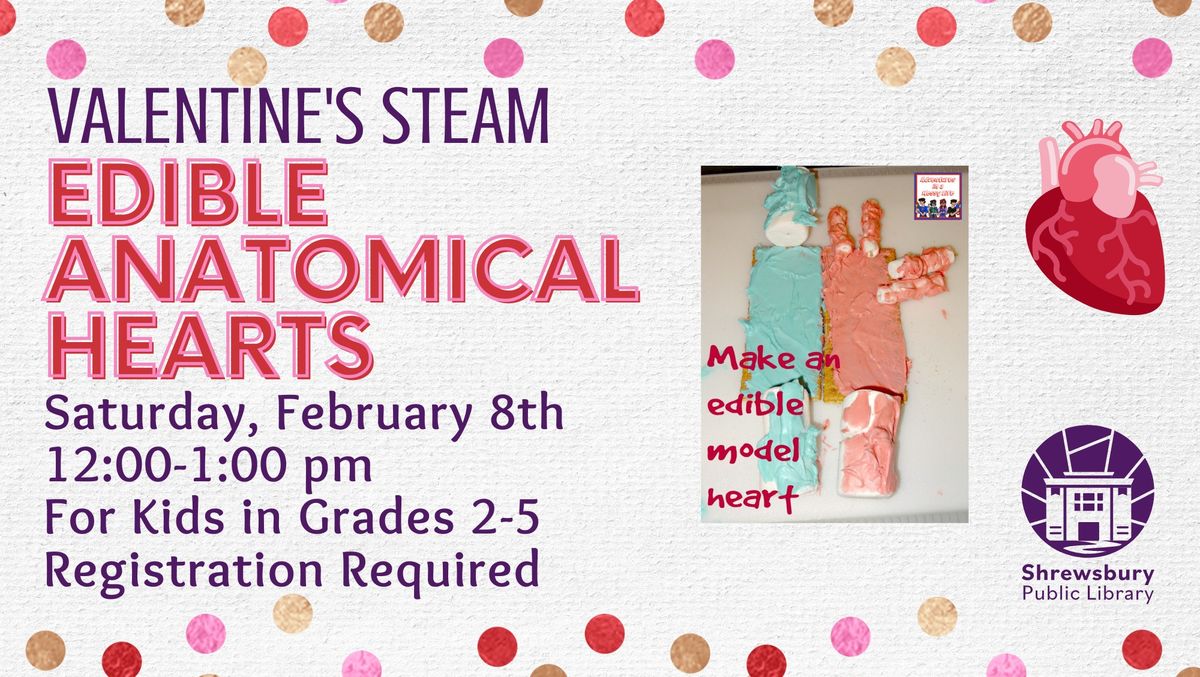 Valentine's Day STEAM: Edible Anatomical Hearts