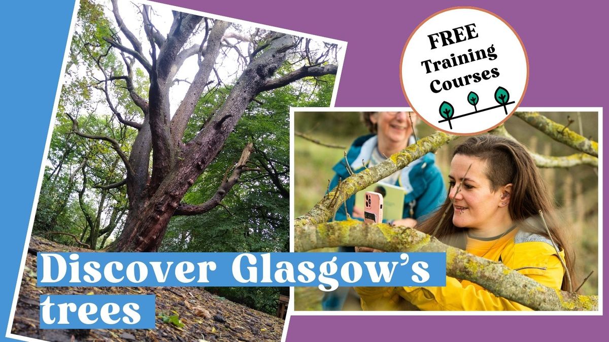 Discovering Trees in Winter - Glasgow