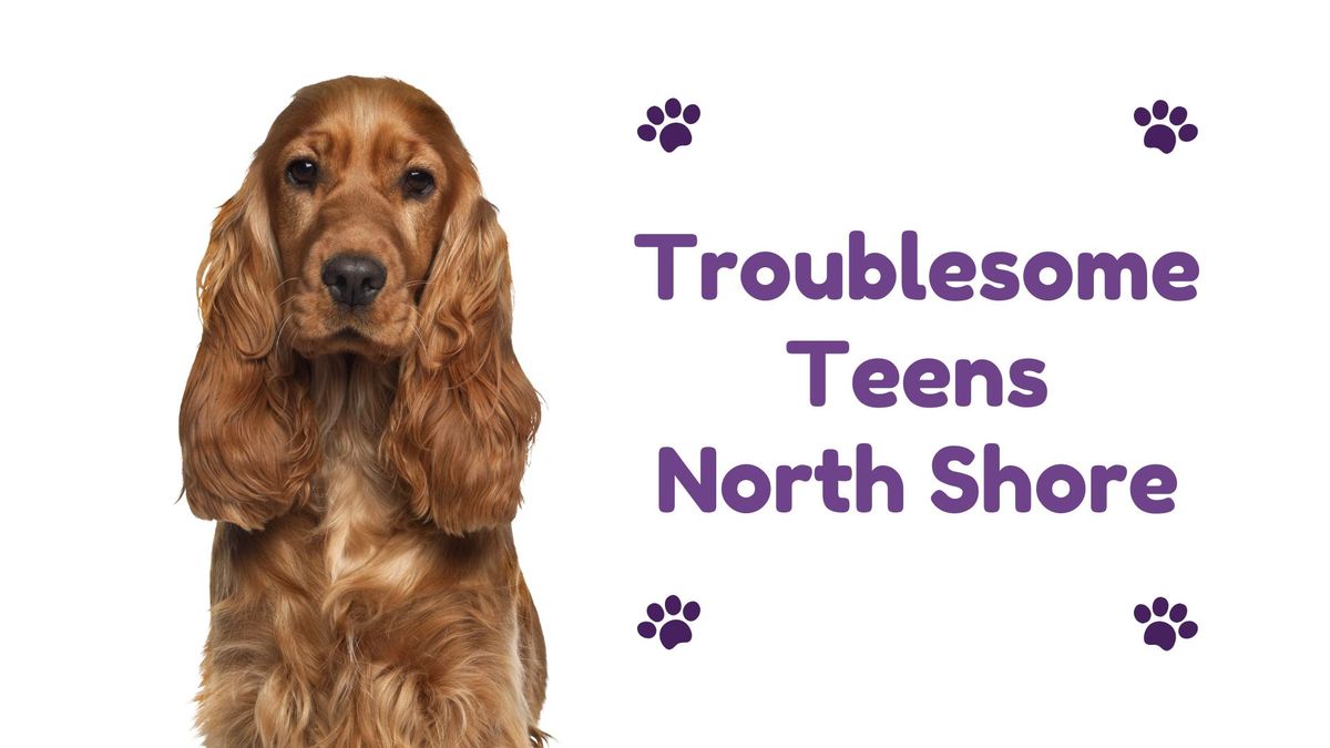 Troublesome Teens Class North Shore
