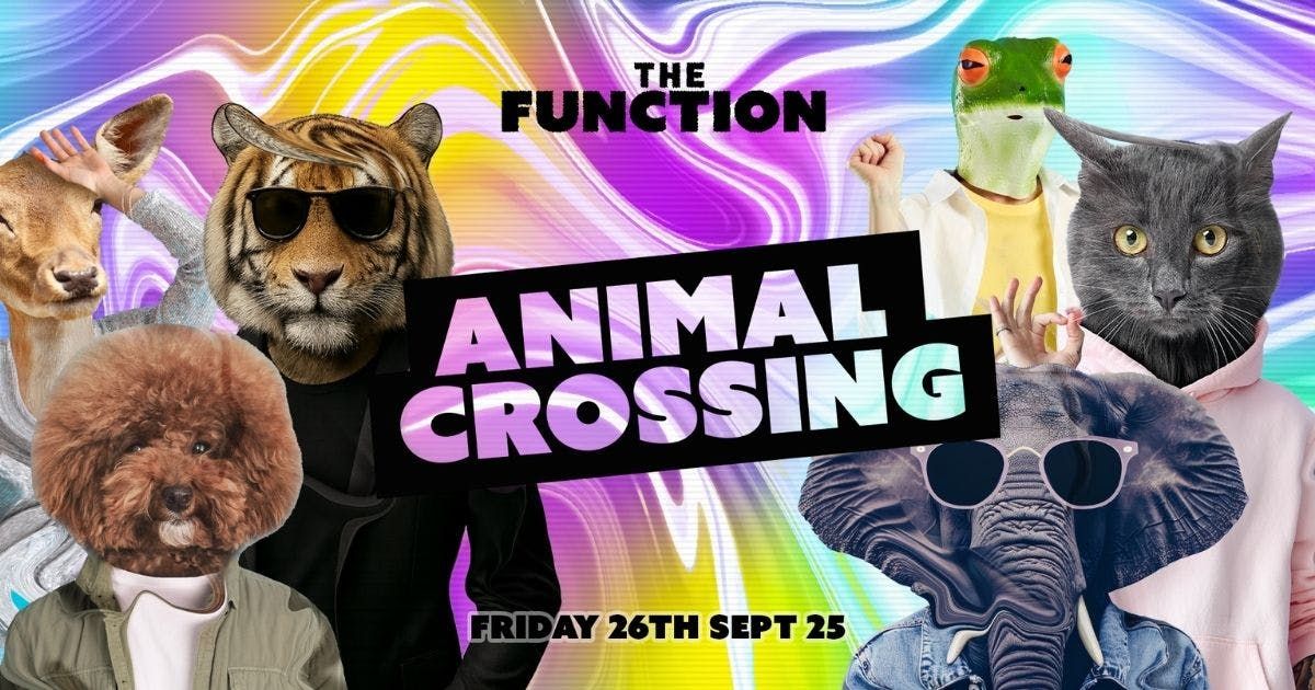 \ud83d\udc1e Animal Crossing \ud83d\udc1e - The Function - Canterbury