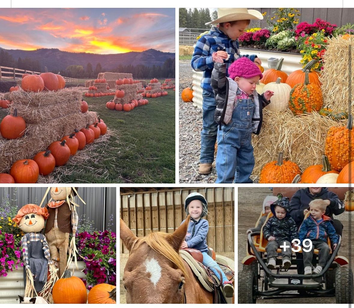 Pumpkin Patch Festival every weekend in October 