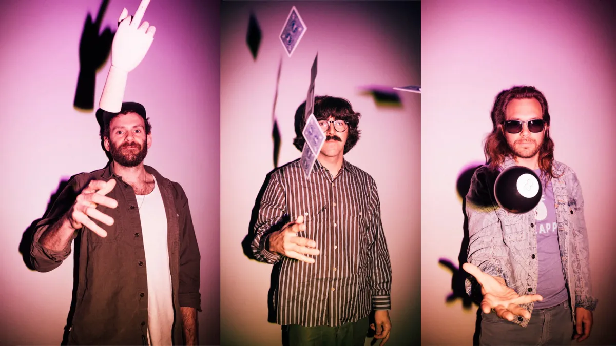 Goose in Saint Augustine