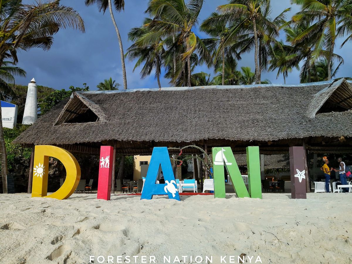 Destination Diani