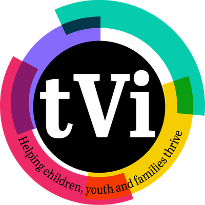 The Village Initiative