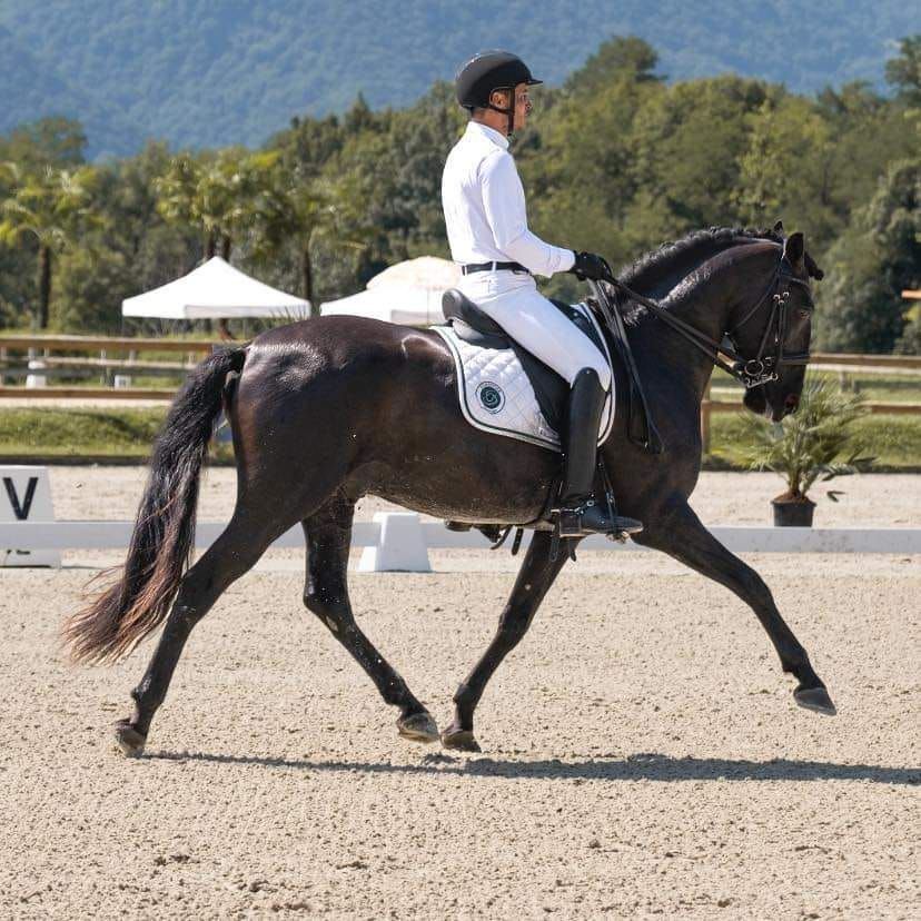 Stage de  Dressage by Nicolas Cogotzi