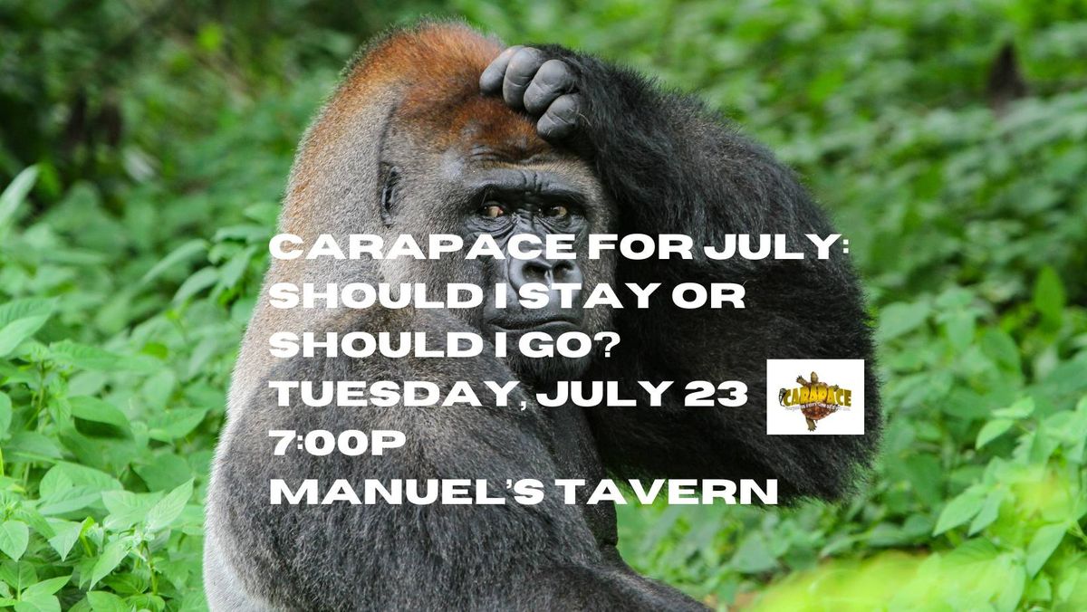 Carapace for July: SHOULD I STAY OR SHOULD I GO?