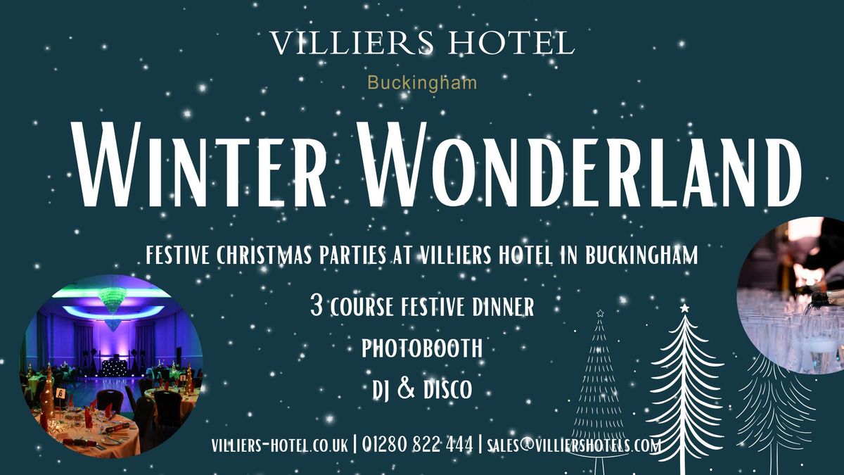 Winter Wonderland Christmas Party Nights