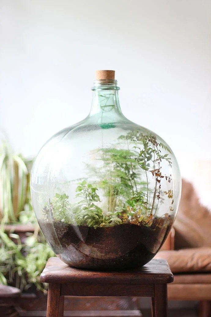 Make your own Magical Terrarium IV - EARTH