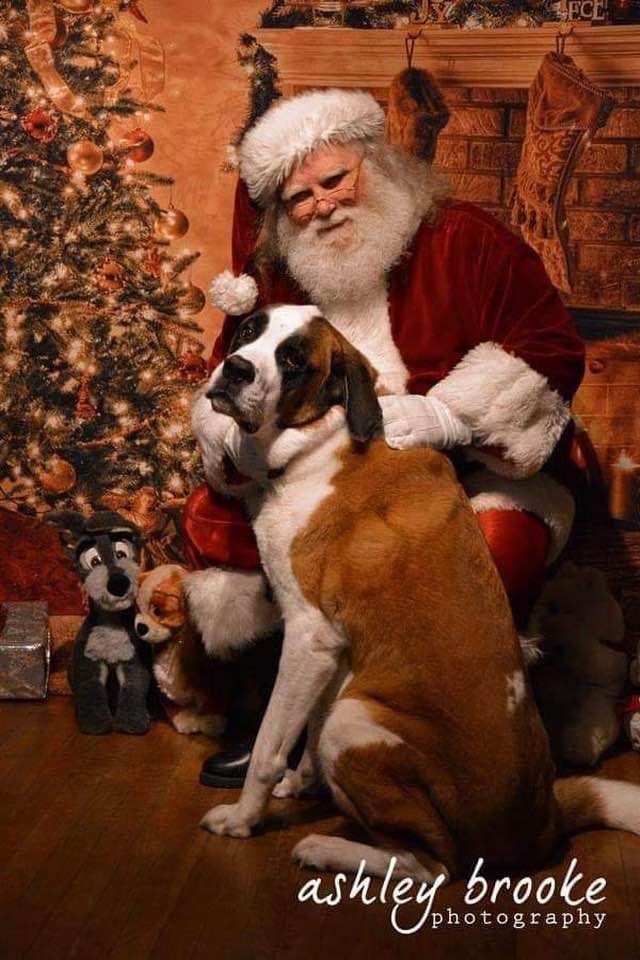 FREE- Santa photos w\/your friendly pets