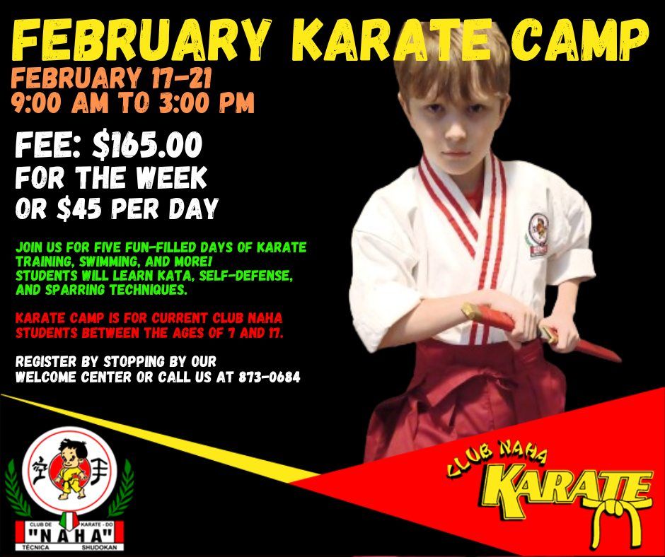 February Karate Camp