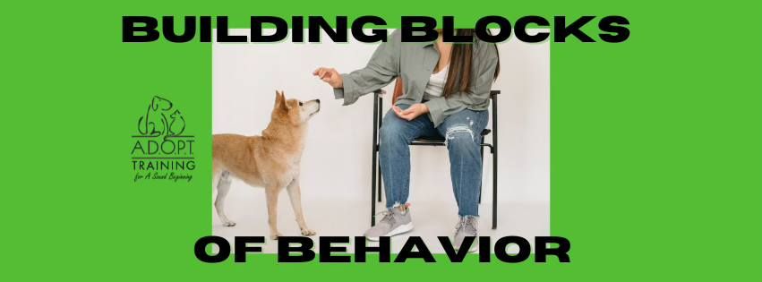 Building Blocks of Behavior