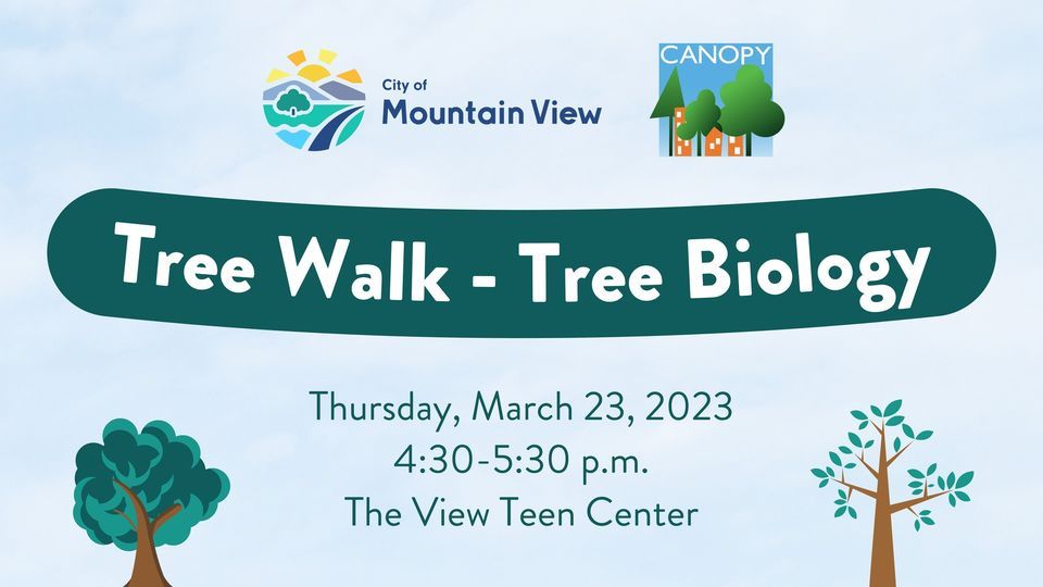 Tree Walk - Tree Biology