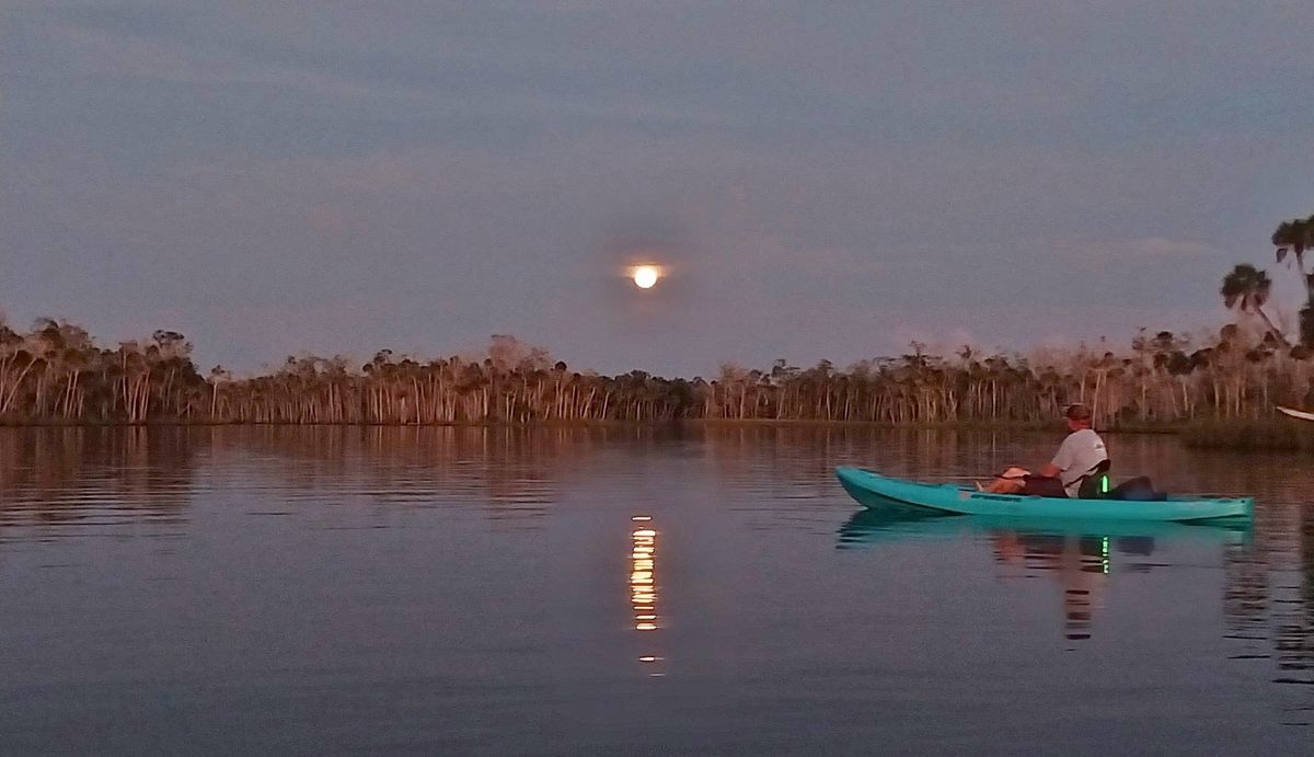 Moonlit Manatees - Full Moon Kayak Tour