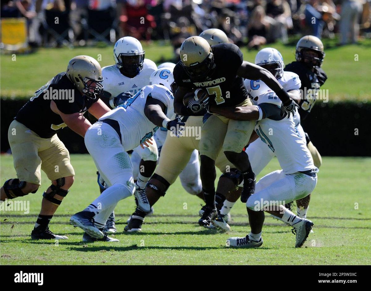 The Citadel Bulldogs at Wofford Terriers Football