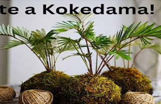 Create a Kokedama - Fun with Flowers Workshop