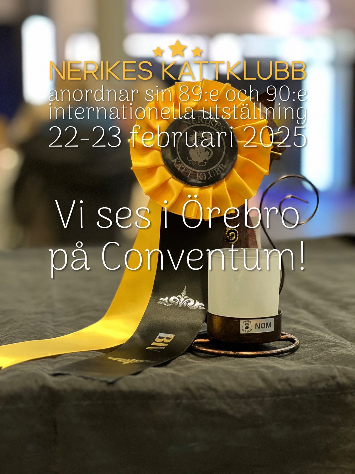 NERKs internationella kattutst\u00e4llning 22-23 februari 2025