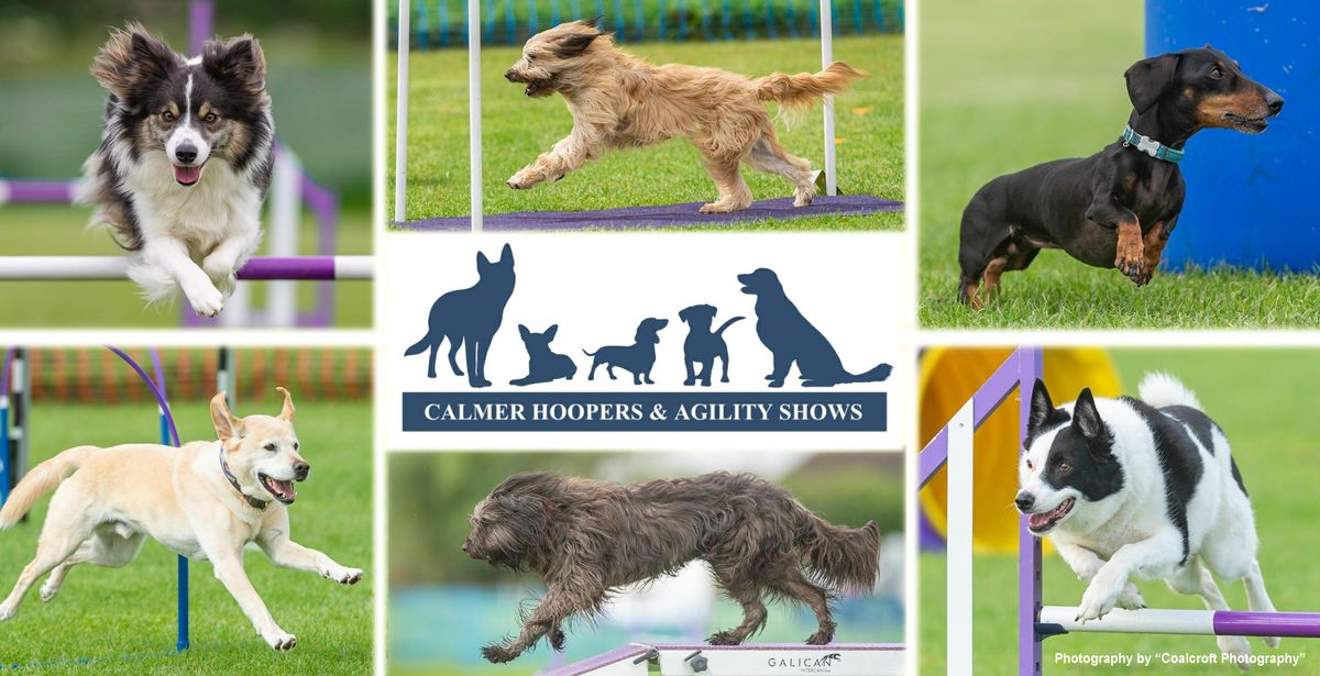 Calmer June Independent Hoopers & Agility Show