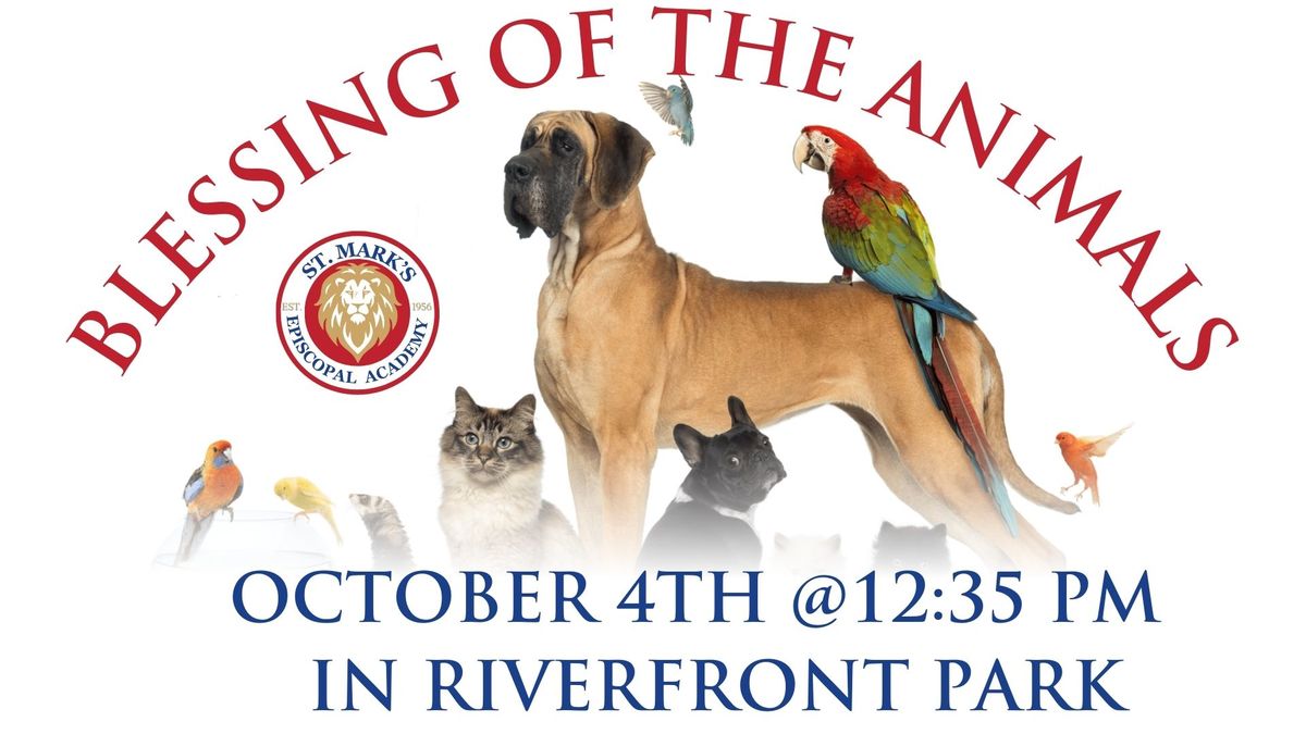 Blessing of The Animals Celebration