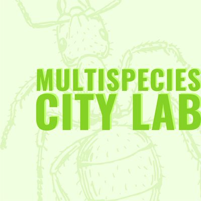 Multispecies City Lab - Antje Jacobs