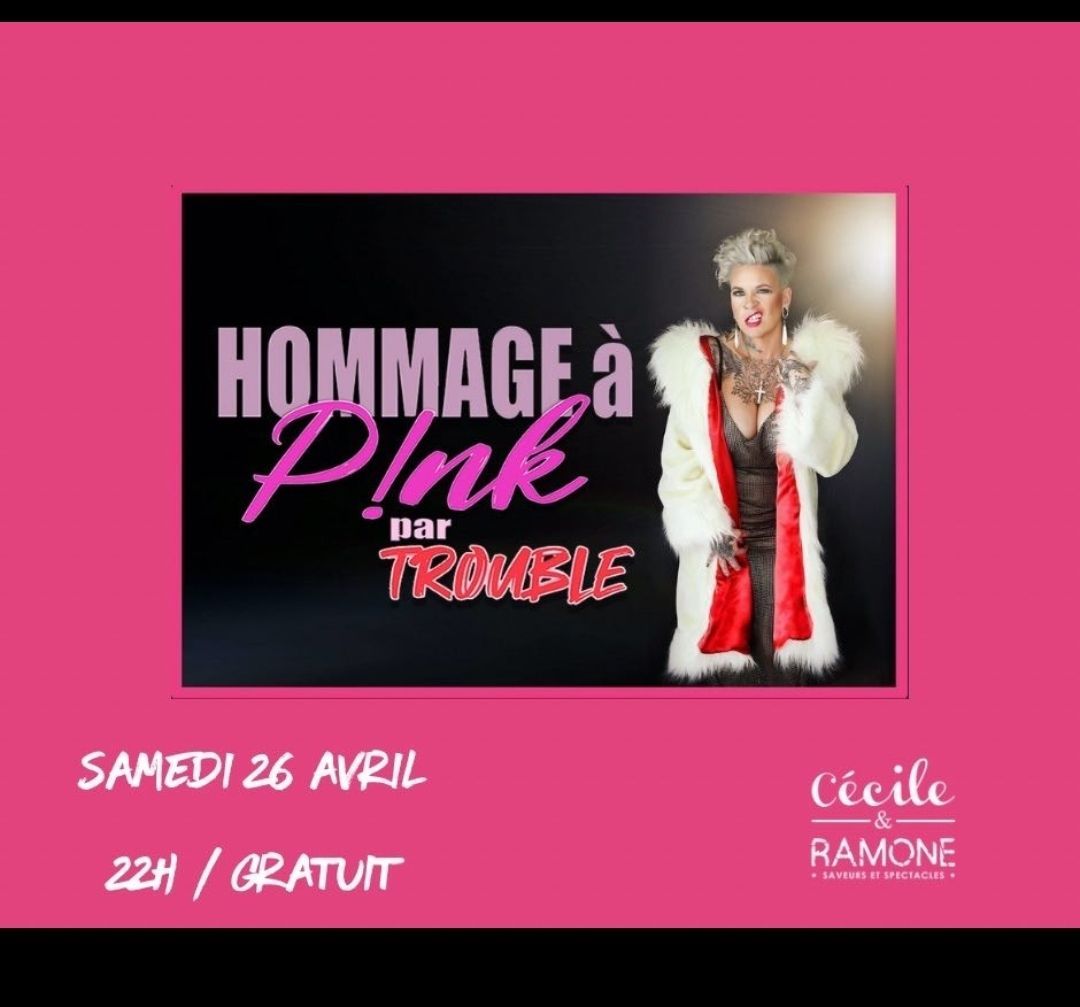 HOMMAGE - P!NK par TROUBLE